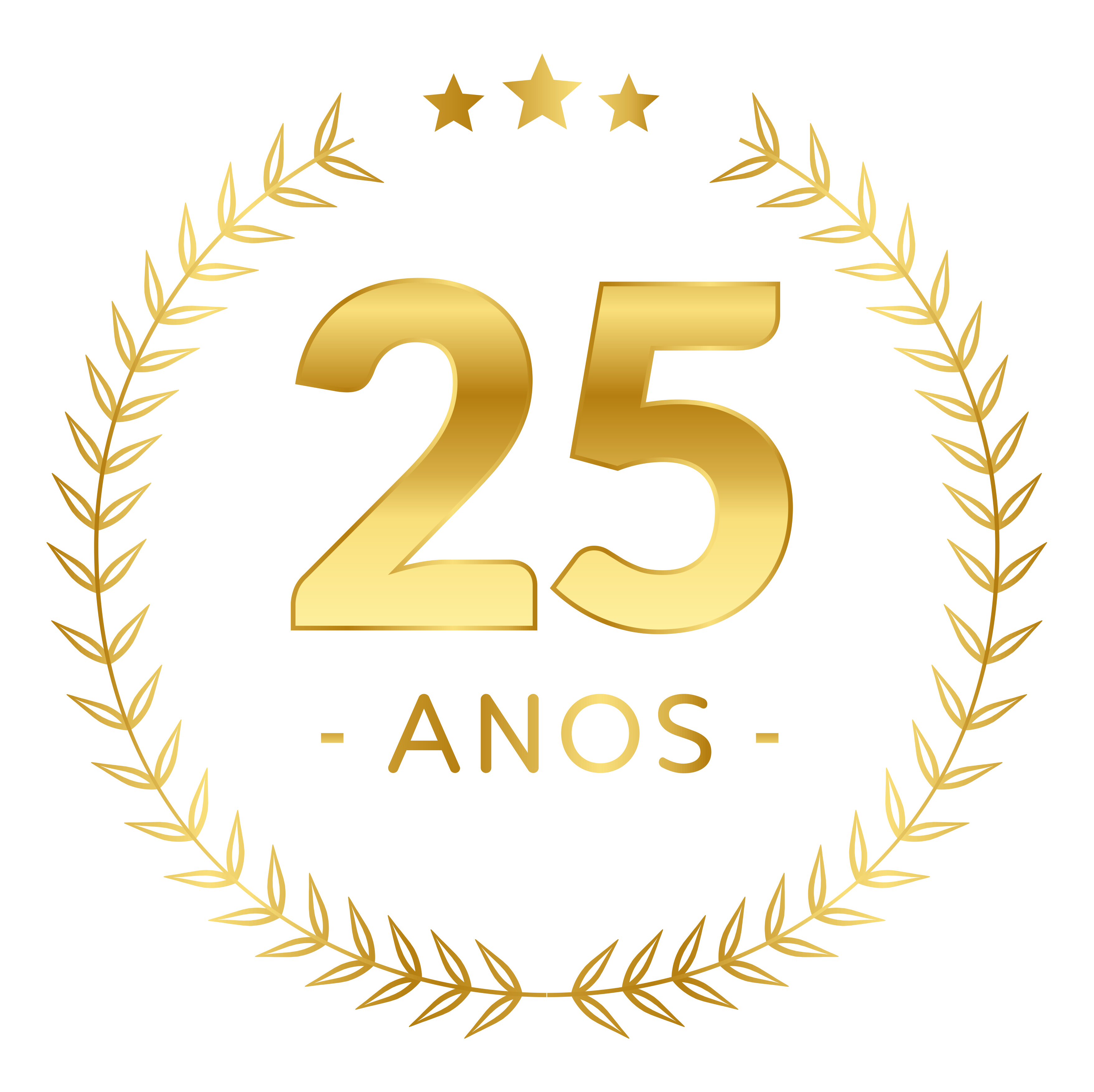Logo 25 Anos